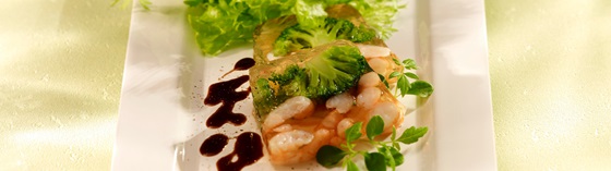 Broccoli Shrimps Terrine